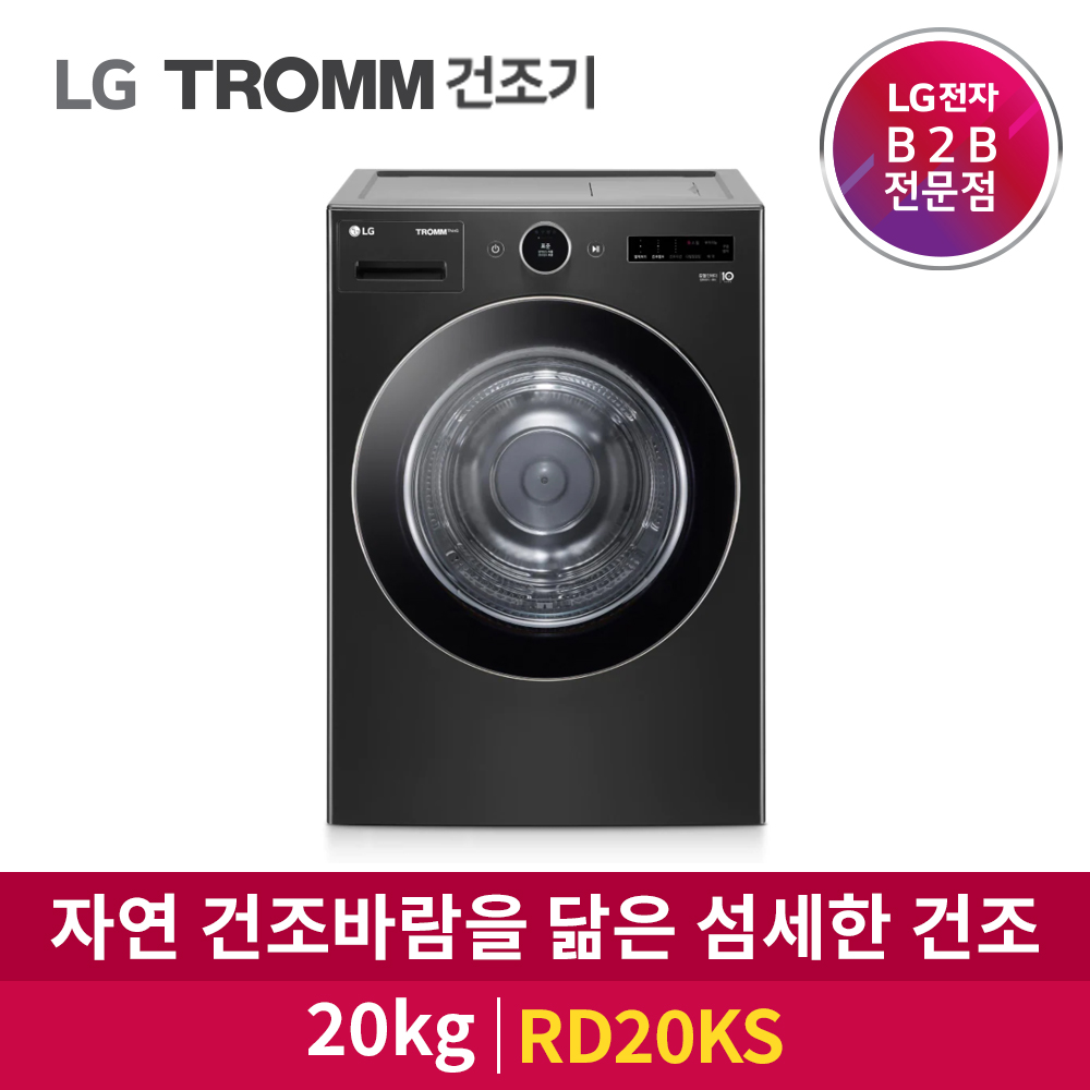 LG전자 TROMM 건조기 RD20KS